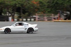 IMG 7484