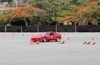 IMG 7496