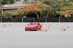 IMG 7497