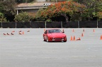 IMG 7498