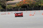 IMG 7516