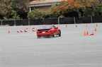IMG 7517