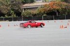 IMG 7519