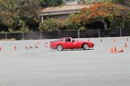 IMG 7520