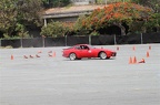 IMG 7521
