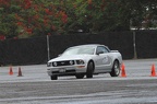 IMG 9006