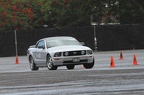 IMG 9012