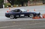 IMG 9165