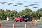 IMG 4224