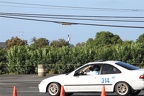 IMG 4233
