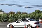 IMG 4234