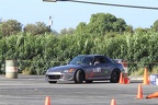 IMG 4236