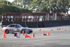 IMG 4239