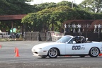IMG 4257