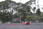 IMG 4292