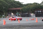 IMG 4294
