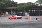 IMG 4295