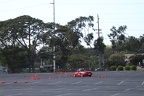 IMG 4301