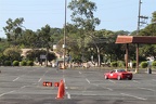IMG 4323