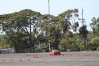 IMG 4324