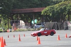 IMG 4334
