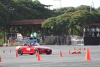 IMG 4335