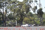 IMG 4341