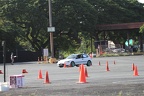 IMG 4347
