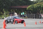 IMG 4382