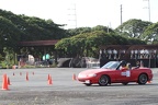 IMG 4386