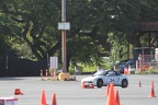 IMG 4390