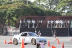 IMG 4391