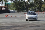 IMG 4392