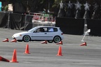 IMG 4419