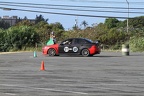IMG 4431