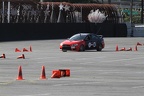 IMG 4437