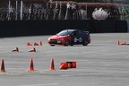 IMG 4438