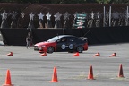 IMG 4439