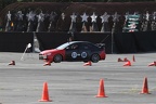 IMG 4440
