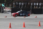 IMG 4441