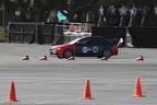 IMG 4442