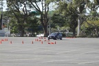 IMG 4452
