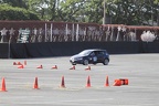 IMG 4455