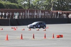 IMG 4456