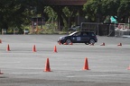IMG 4460