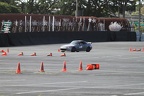 IMG 4495