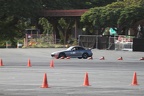 IMG 4499