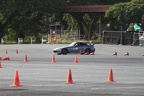 IMG 4500