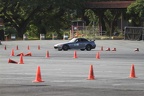IMG 4501