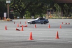 IMG 4502